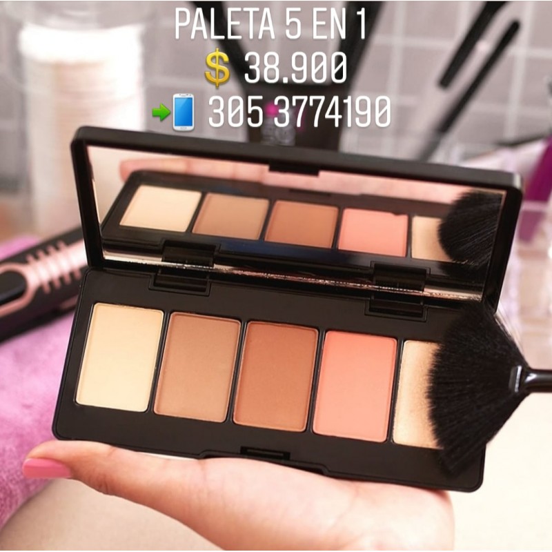 PALETA 5 EN 1