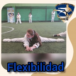 FLEXIBILIDAD