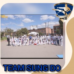 TEAM SUNG DO