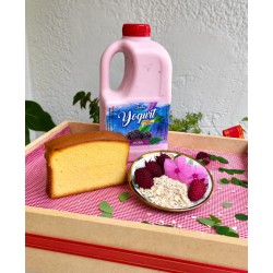 Yogurt Natural 1 litro – Pasajinak ®
