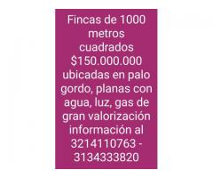 VENDO FINCAS