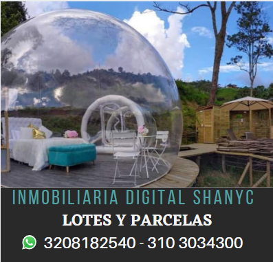 INMOBILIARIA DIGITAL SHANYC